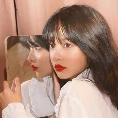 牡丹绿叶